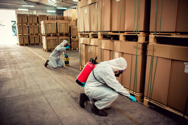 Best Best Pest Control Companies  in Zephyrhills North, FL