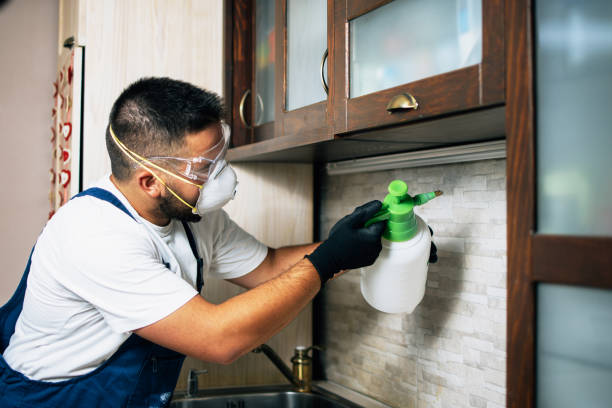 Reliable Zephyrhills North, FL Pest Control Solutions