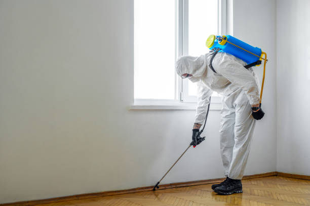 Best Termite Control Services  in Zephyrhills North, FL