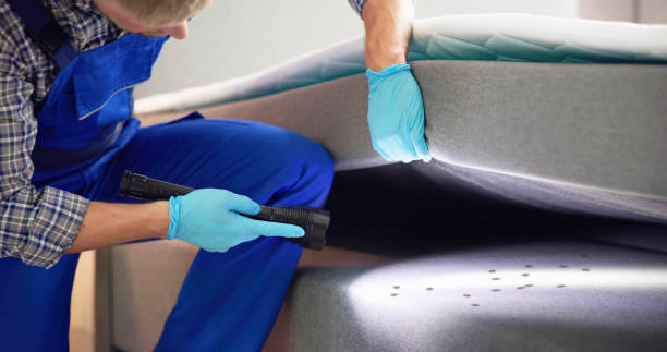 Best Affordable Pest Control Services  in Zephyrhills North, FL