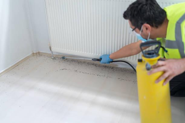 Best Exterminator Services  in Zephyrhills North, FL