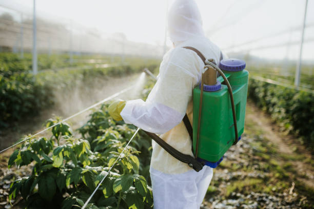 Best Affordable Pest Control Services  in Zephyrhills North, FL